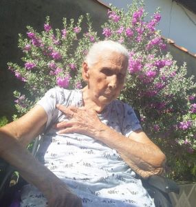 Domires Lopes de Araujo